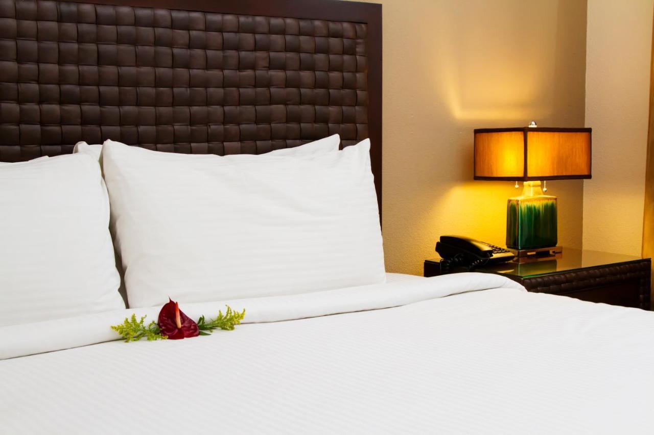Rincon Del Valle Hotel & Suites San José Kültér fotó